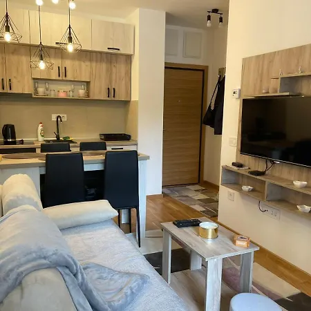 Teodora 4 Zvezdice-minimum 3 Nocenja Za Rezervaciju Lägenhet Zlatibor