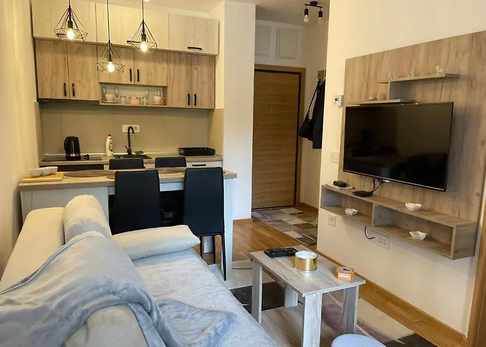 Teodora 4 Zvezdice-minimum 3 Nocenja Za Rezervaciju Apartamento Zlatibor
