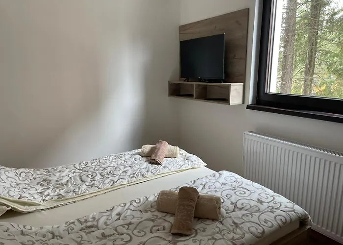 Teodora 4 Zvezdice-minimum 3 Nocenja Za Rezervaciju * Zlatibor